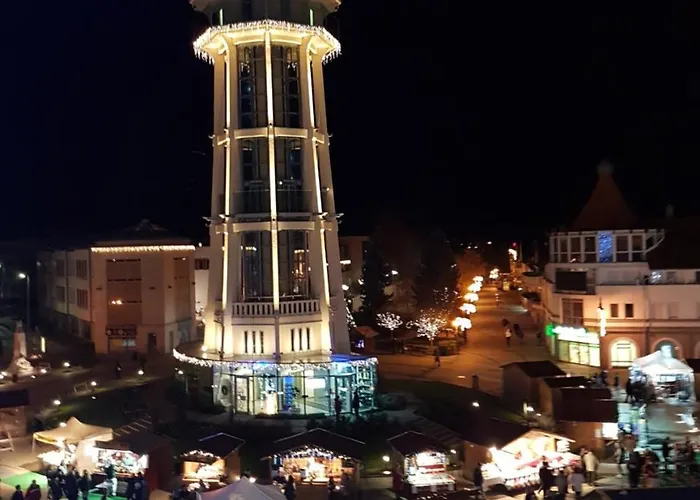 Balaton&center Wellness 아파트